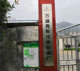 重庆环投